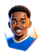 Campioncino Willock