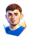 Campioncino Palmer