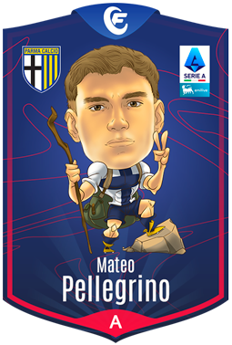 Campioncino Pellegrino M.