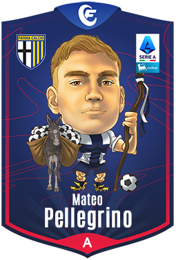 Campioncino Pellegrino M.