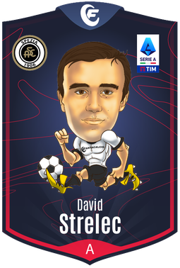 STRELEC STRELEC