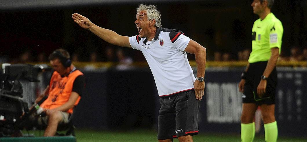 Copertina: Bologna, Donadoni: "Pulgar sente dolore, Palacio non ha i 90'. Masina disponibile, poi vedremo..."