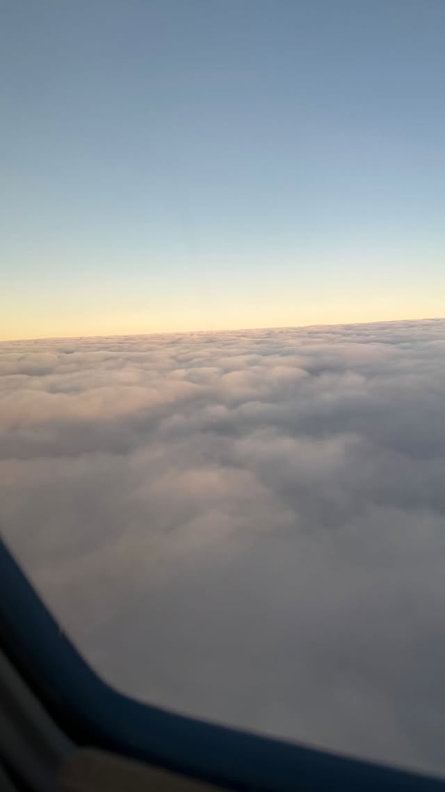 La foto pubblicata da Leao (Instagram)