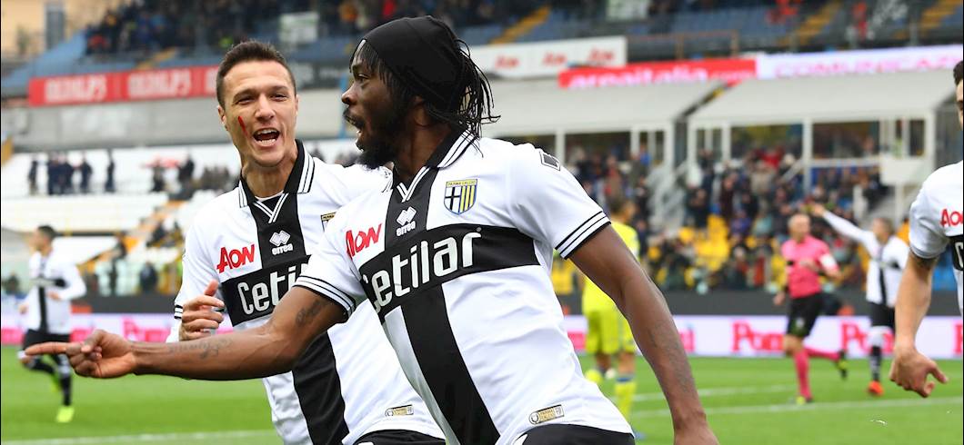 Copertina: Parma, D'Aversa: "Gervinho da valutare, out Di Gaudio, e su Barillà..."