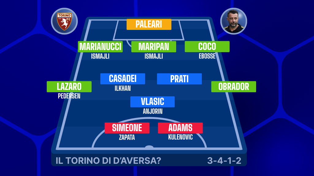 Il Torino di D'Aversa (Fantacalcio)