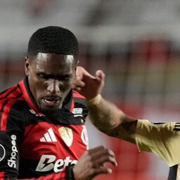 Copertina: Napoli, Evertton Araujo per il post Anguissa: ma occhio alla concorrenza