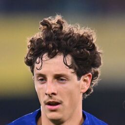 Copertina: Verona, si ferma Bradaric: infortunio e cambio obbligato col Genoa