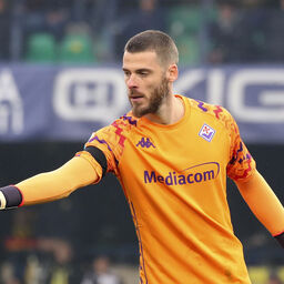 Copertina: Fiorentina, lavoro al Viola Park: De Gea ok, Jimenez in palestra